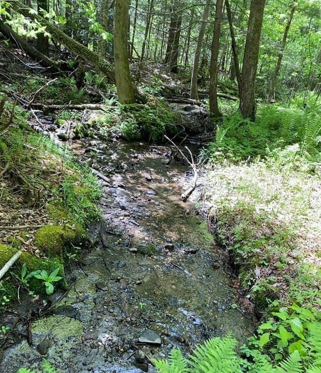 0 Bryant Rd L:16, Cummington, MA 01026 - photo 3