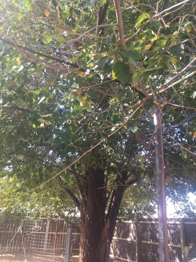 24250 N Los Angeles St, Paulden, AZ 86334 - photo 6