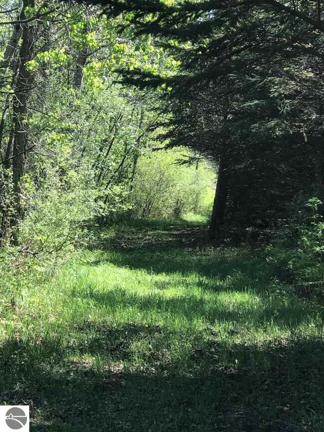 266 Swartz Rd, Twining, MI 48766 - photo 7