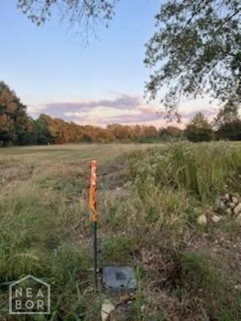 172 County Road 325, Jonesboro, AR 72401 - photo 4
