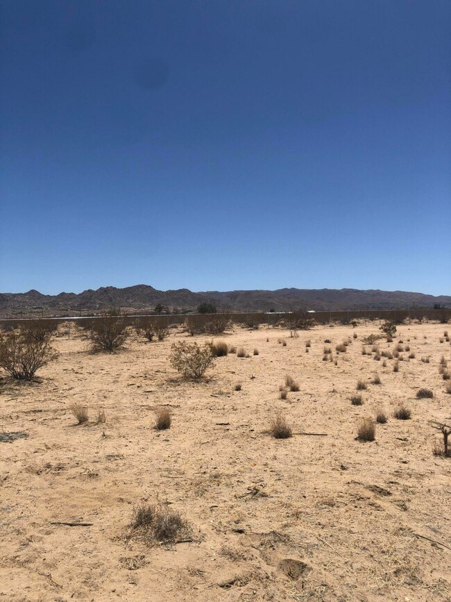 5320 Arizona Ave, Joshua Tree, CA 92252 - photo 6