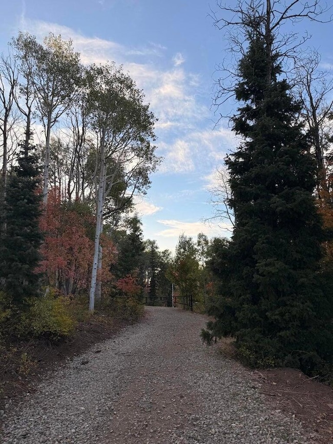 20251008172001149793000000-o