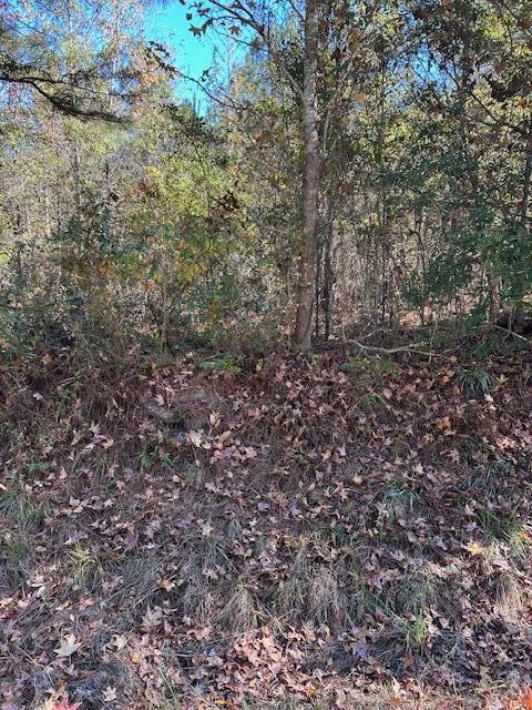 5485 Mayrant Rd, Rembert, SC 29128 - photo 5