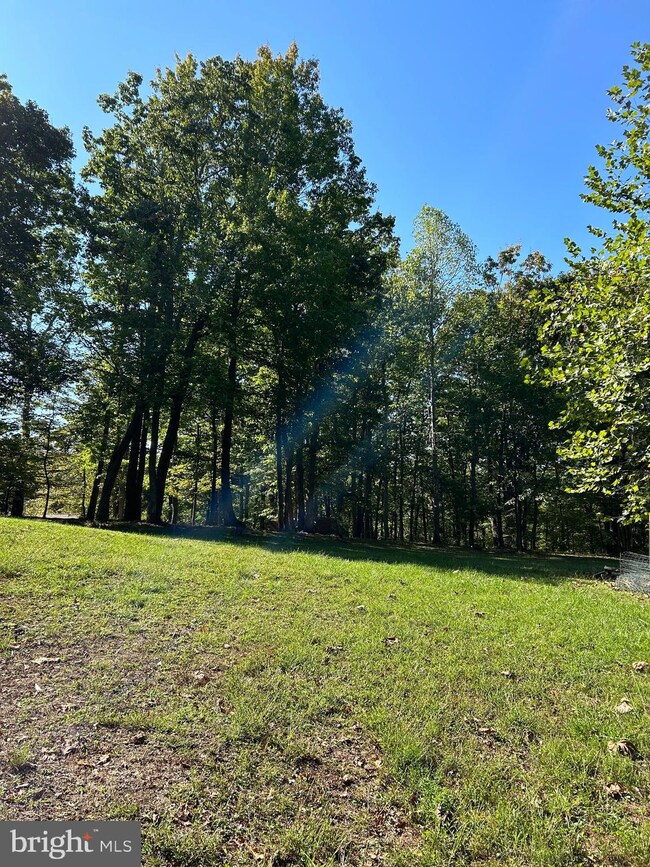 1008 Carefree Ln, Boyce, VA 22620 - photo 6