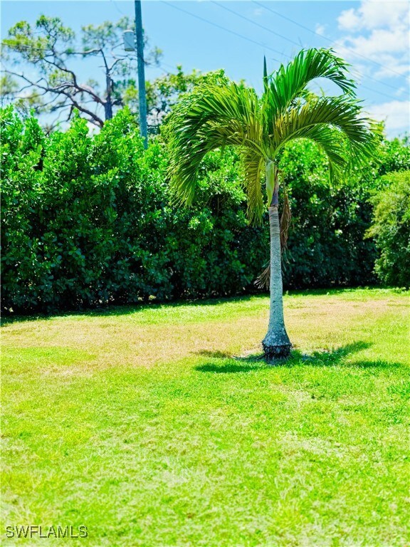 View of green lawn