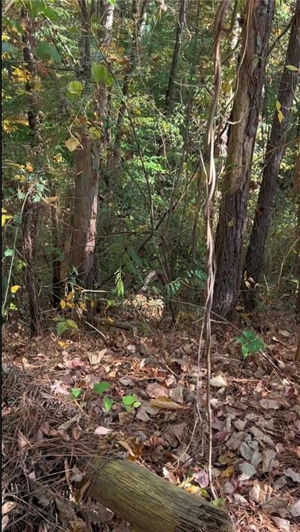 0 Governors Walk Dr unit 7294252, Canton, GA 30114 - photo 3