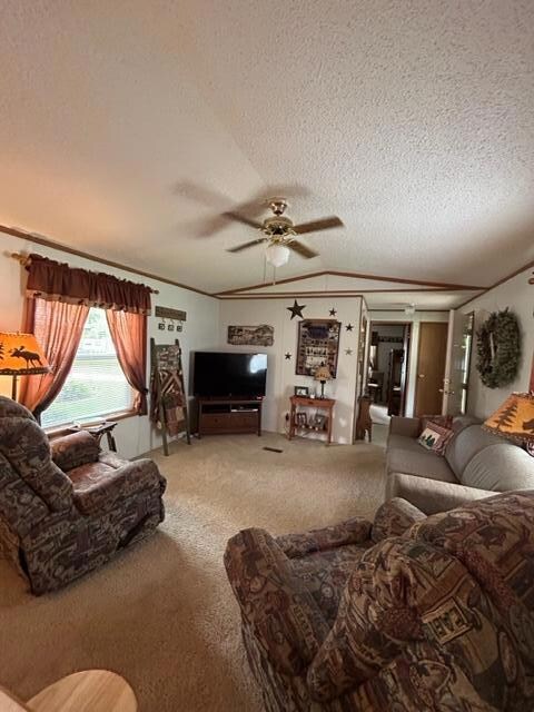 21221 Ferry Ln, Osakis, MN 56360 - photo 5