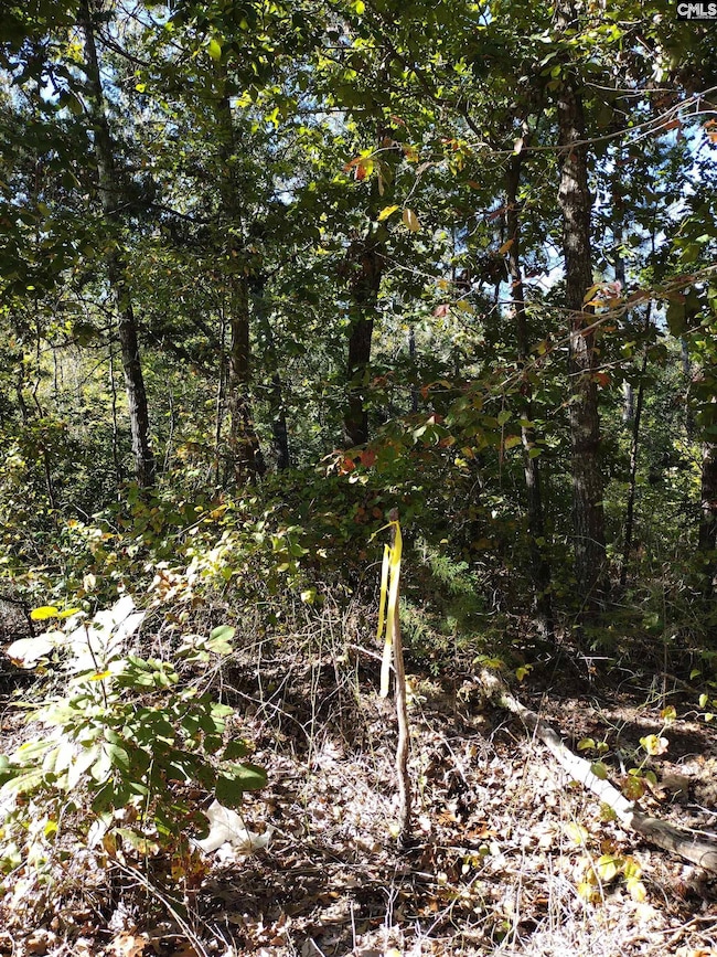 TBD Sam Koon Rd, Little Mountain, SC 29075 - photo 6