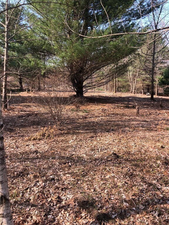 0 Beebe Rd L:4, Monson, MA 01057 - photo 6