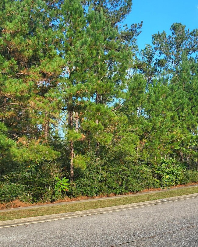 68 Cherry Laurel Loop, Hattiesburg, MS 39402 - photo 4