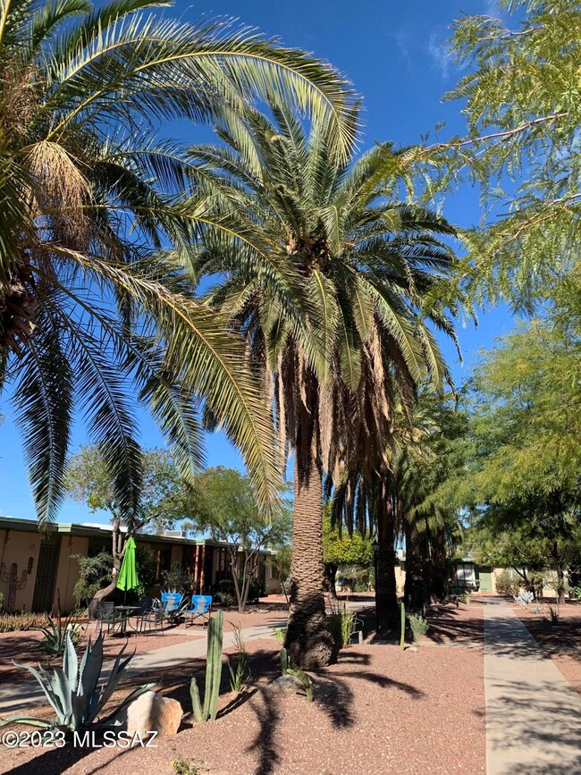 Courtyard