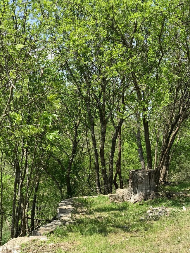 5025 S State Highway 16, Fredericksburg, TX 78624 - photo 7