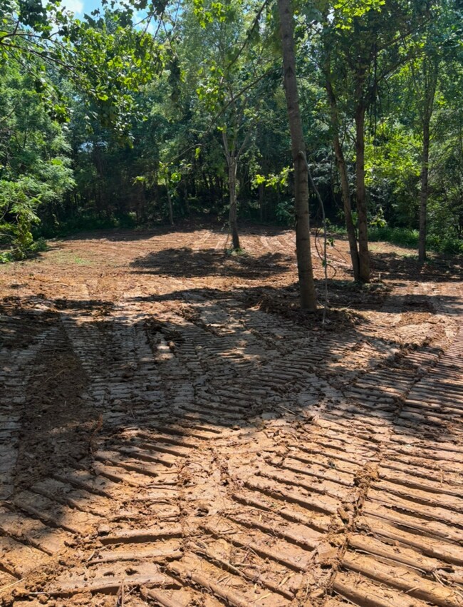 0 Union Hill Moss Rd, Moss, TN 38575 - photo 3