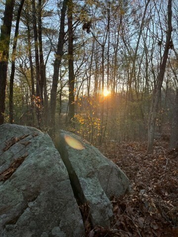 100 Forest Rd, Salisbury, MA 01952 - photo 5