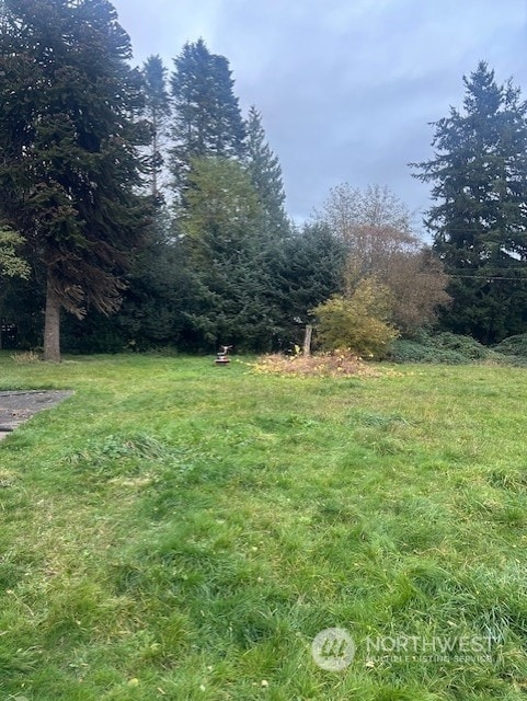 2511 Loomis Trail Rd, Custer, WA 98240 - photo 5