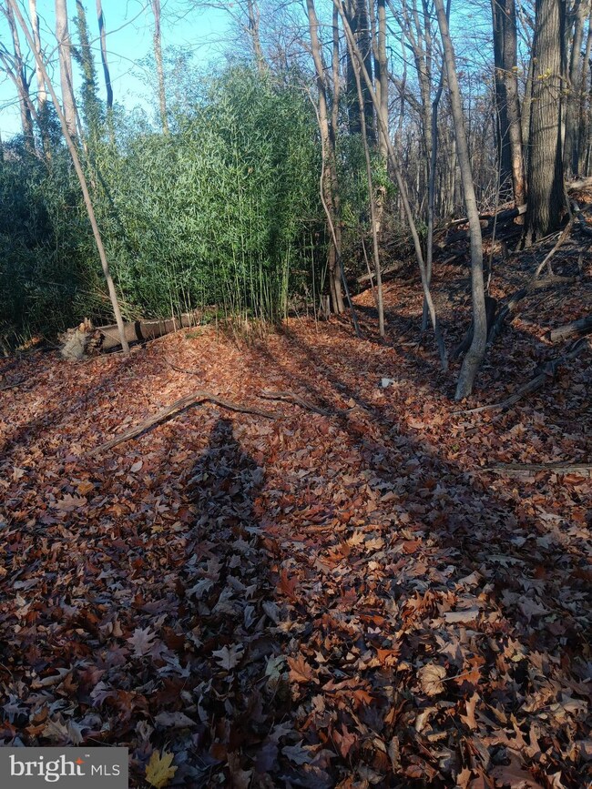 0 Gray Ave unit MDAL2013506, Cumberland, MD 21502 - photo 5