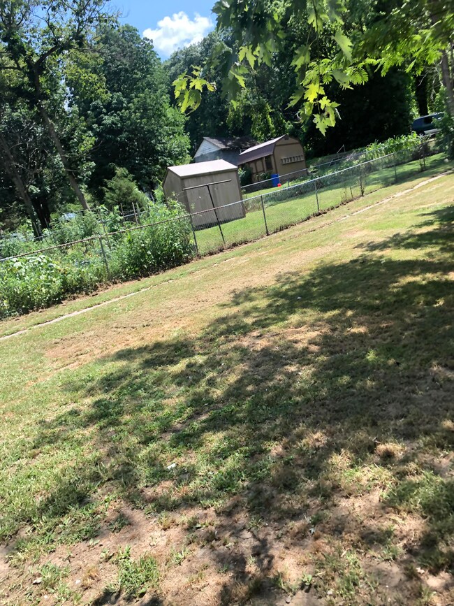 back yard