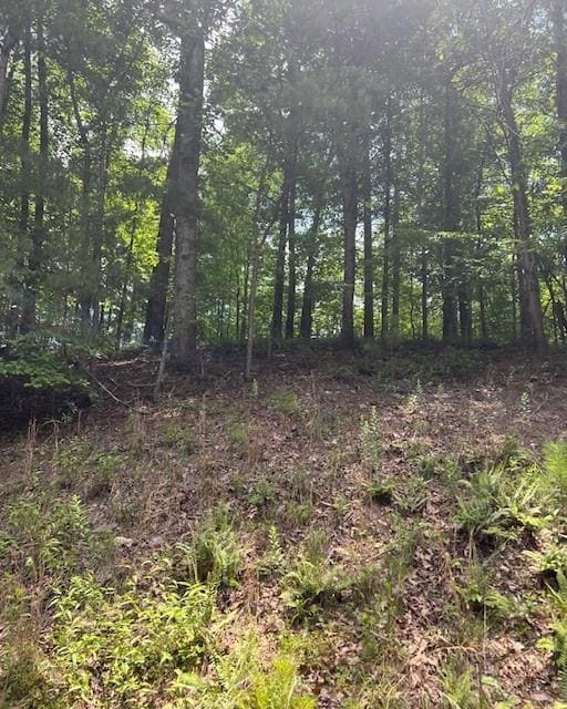 133 Adair Dr, Ranger, GA 30734 - photo 4