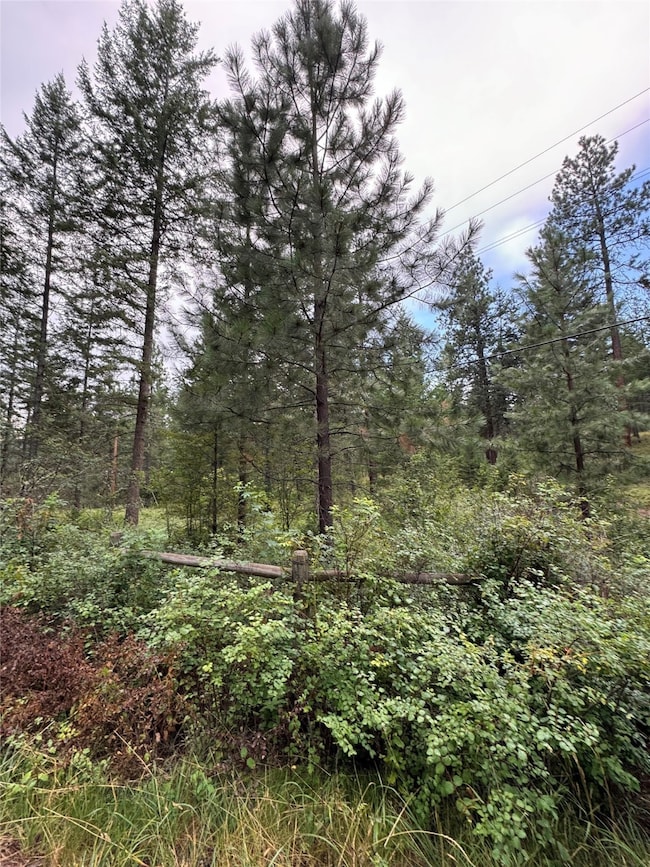 Nhn Rocky Point Rd, Polson, MT 59860 - photo 7