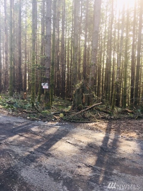 7232 188th St NW, Stanwood, WA 98292 - photo 7