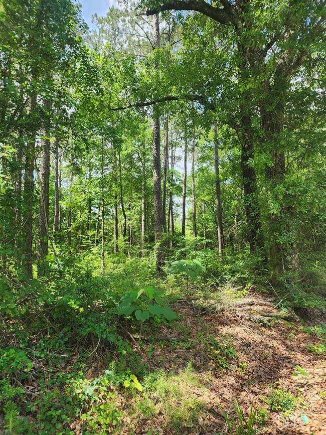 NHN Spring Hill Rd, Poplarville, MS 39470 - photo 7