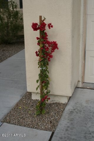 Landscaping Details