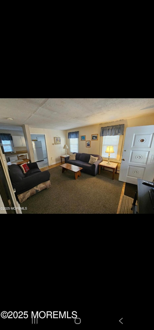 207 3rd Ave unit REAR, Belmar, NJ 07719 - photo 5