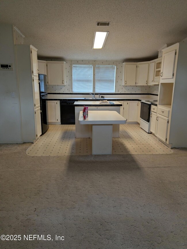 4667 Peppergrass St, Middleburg, FL 32068 - photo 7