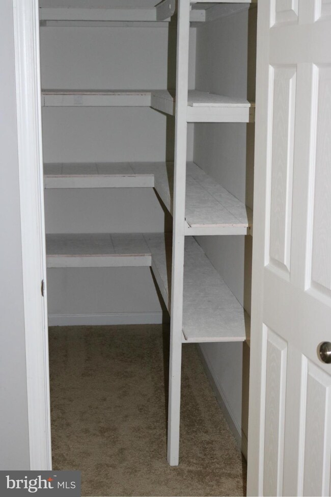 42253 Palm Cove Ct, Chantilly, VA 20152 - photo 5