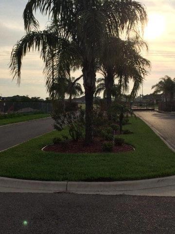 NN Zinnia St, Weslaco, TX 78599 - photo 2