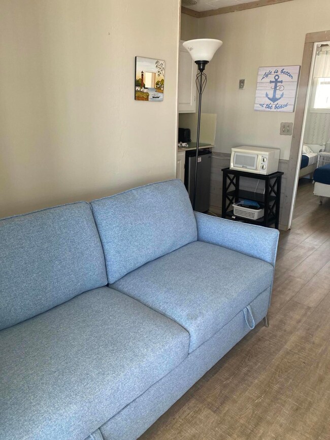 IMG_6554COUCH