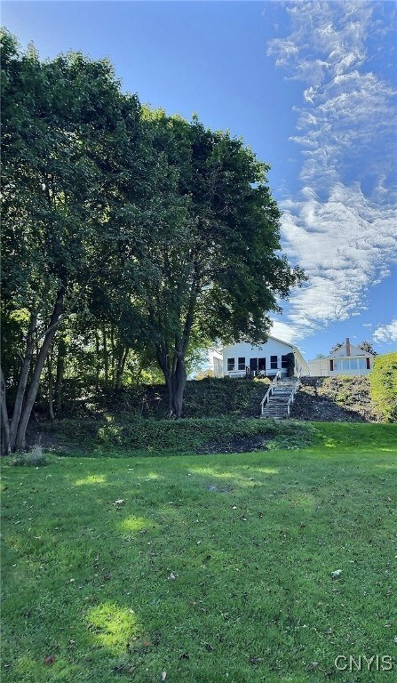Large Yard