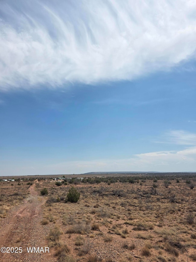 8317 Buckskin Trail, Snowflake, AZ 85937 - photo 4