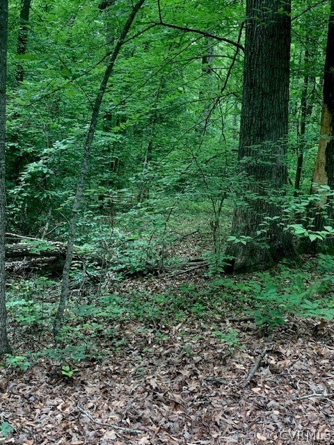 3 Acre wooded lot