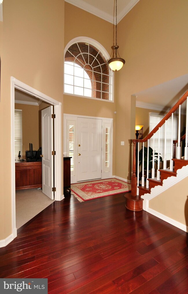 25335 Justice Dr, Chantilly, VA 20152 - photo 4