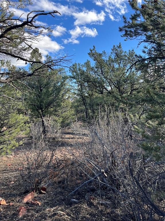 0 Q Path unit 7992612, Cotopaxi, CO 81223 - photo 6