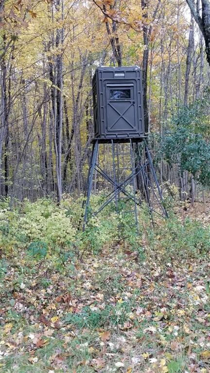 112 Acres 11th Ave, Chetek, WI 54728 - photo 4