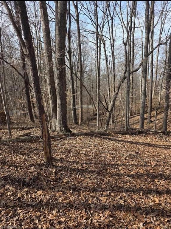 1065 Cedar Ln, Reidsville, NC 27320 - photo 3