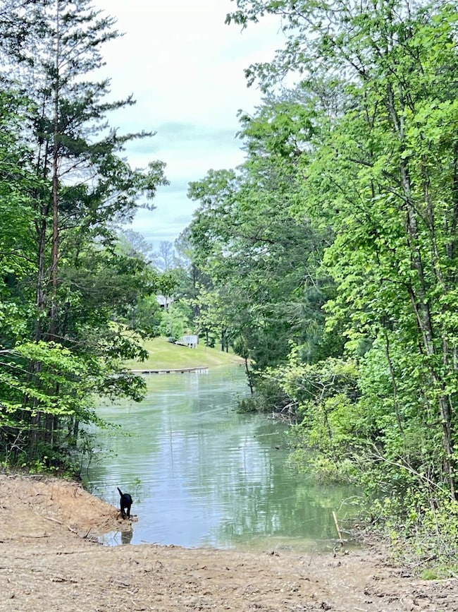 1801 Bootbluff Trail, Dandridge, TN 37725 - photo 4