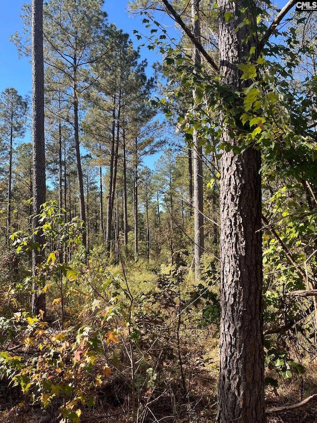 DRF 4 Dawkins Rd unit DRF 4, Pacolet, SC 29372 - photo 5