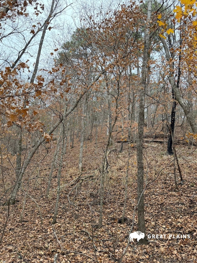 13154 Horse Shoe Cir, Chewey, OK 74347 - photo 4