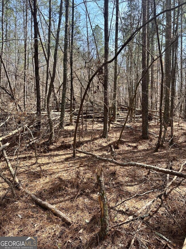 0 Autry Rd SW unit 10489984, Plainville, GA 30733 - photo 7