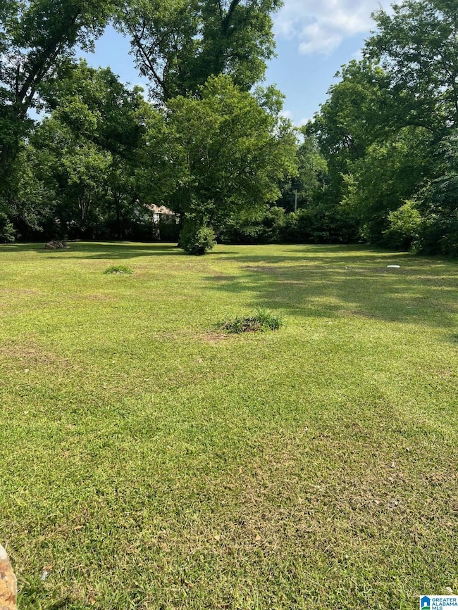 226 Clifton St, Bessemer, AL 35020 - photo 3