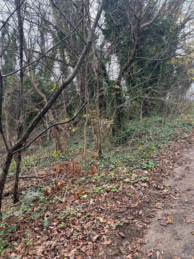 0 Dawson St, Madison Heights, VA 24572 - photo 2