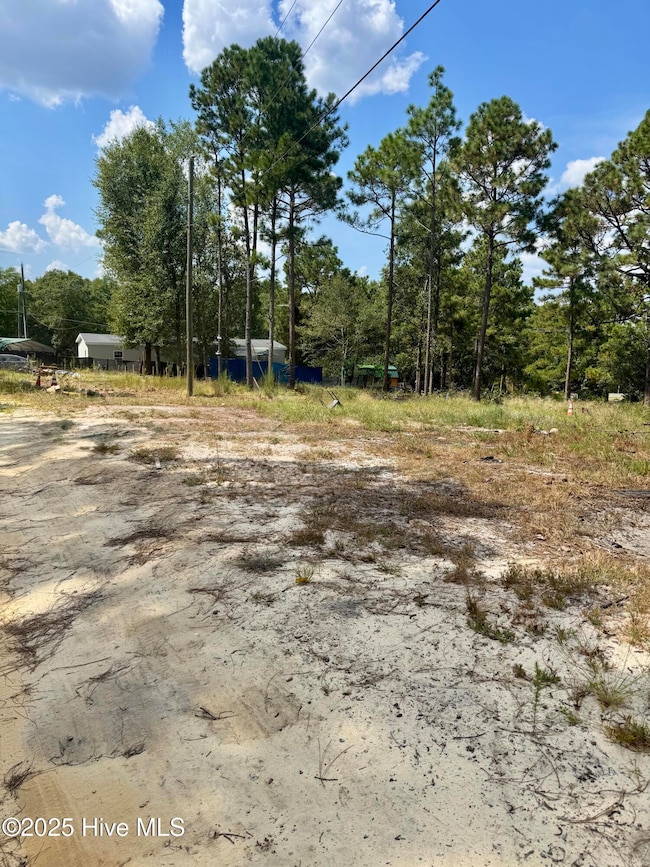 0 Wiregrass Rd unit 100528912, Hamlet, NC 28345 - photo 2