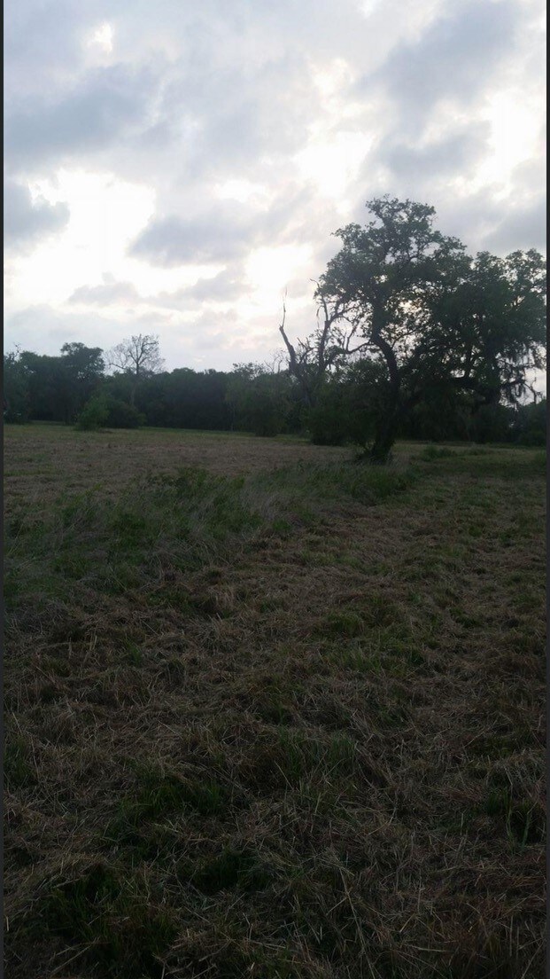 1216 County Road 819a, Brazoria, TX 77422 - photo 3