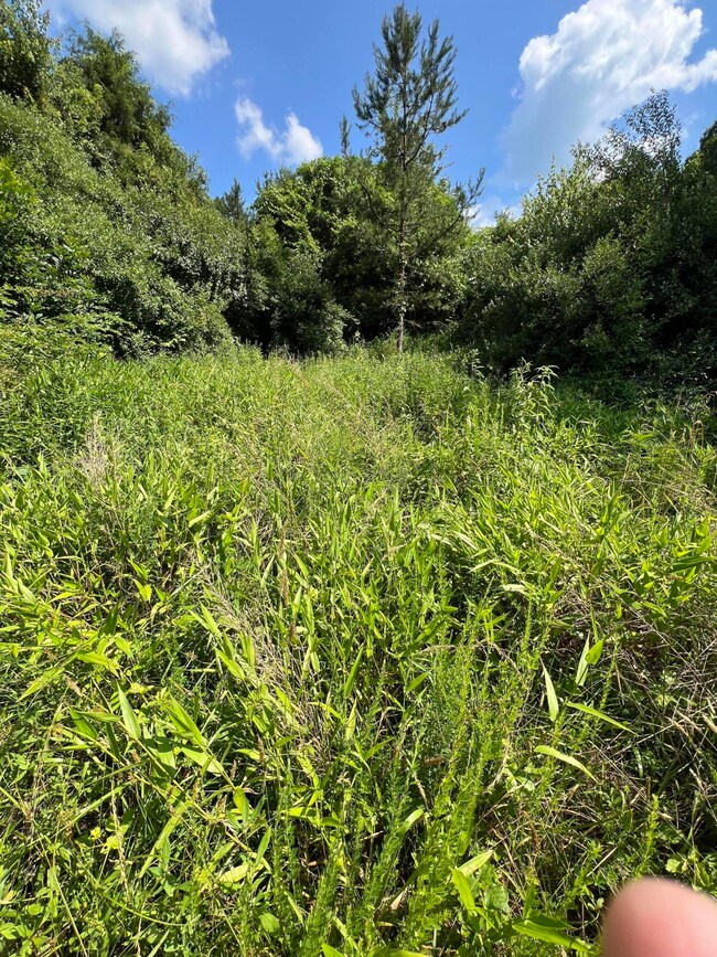 000 Dunagin Rd, Tyner, KY 40486 - photo 2