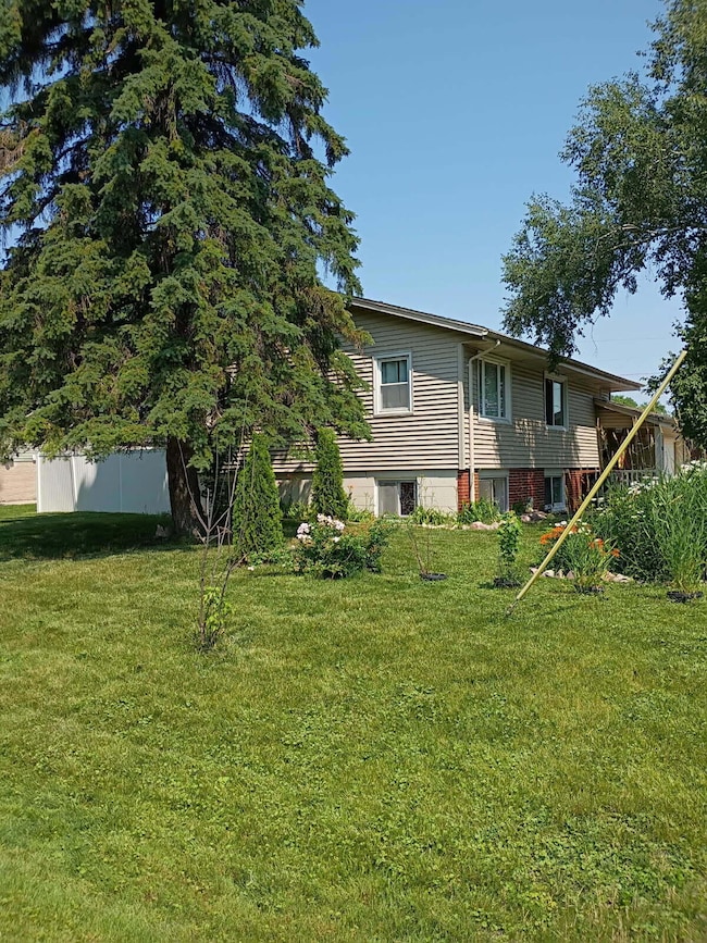 Yard