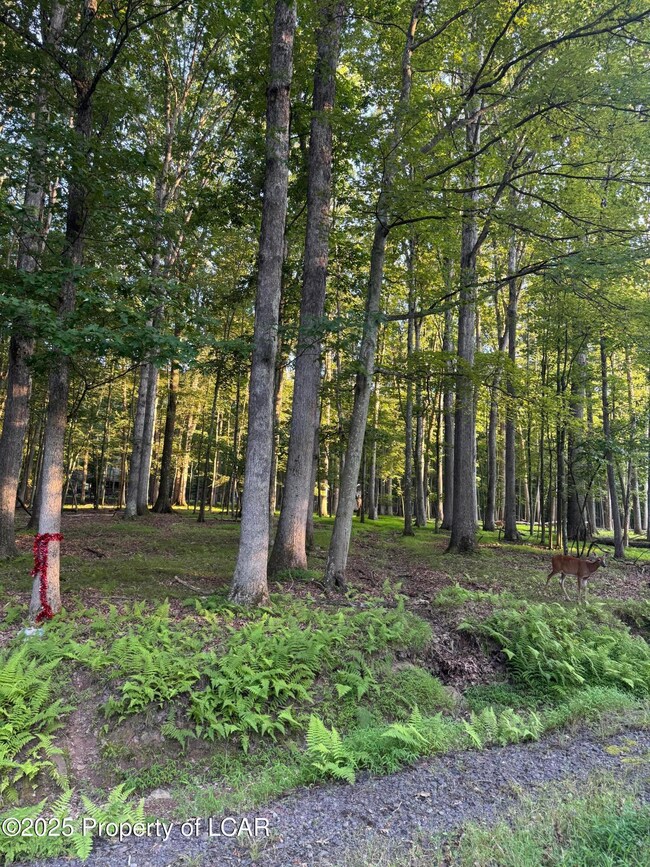 E-114 Conyngham Dr, Hazle Township, PA 18202 - photo 6