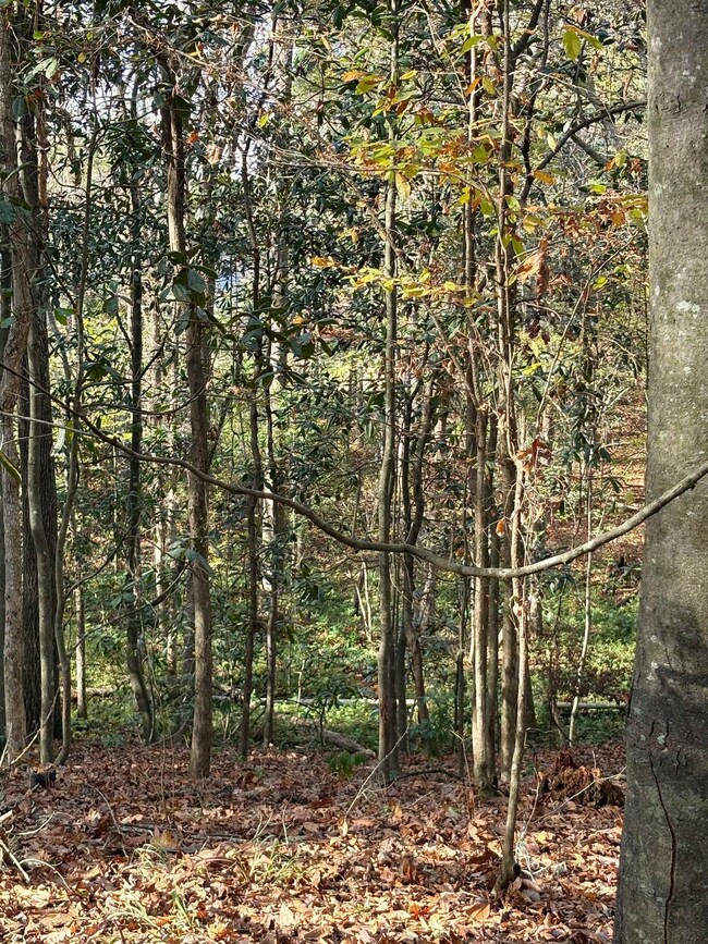 0 Quail Roost Dr unit 393643, Quincy, FL 32352 - photo 6